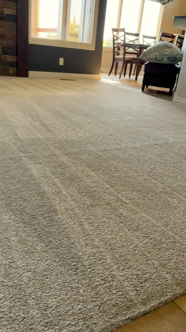 Fresh vacuum lines across a living room carpet